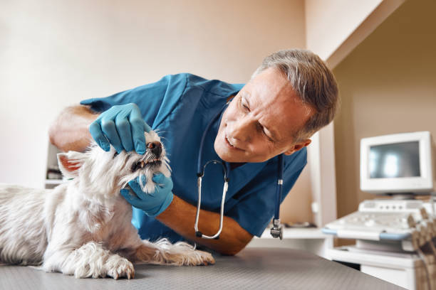 Tooth Infection Emergency Dentist in TX